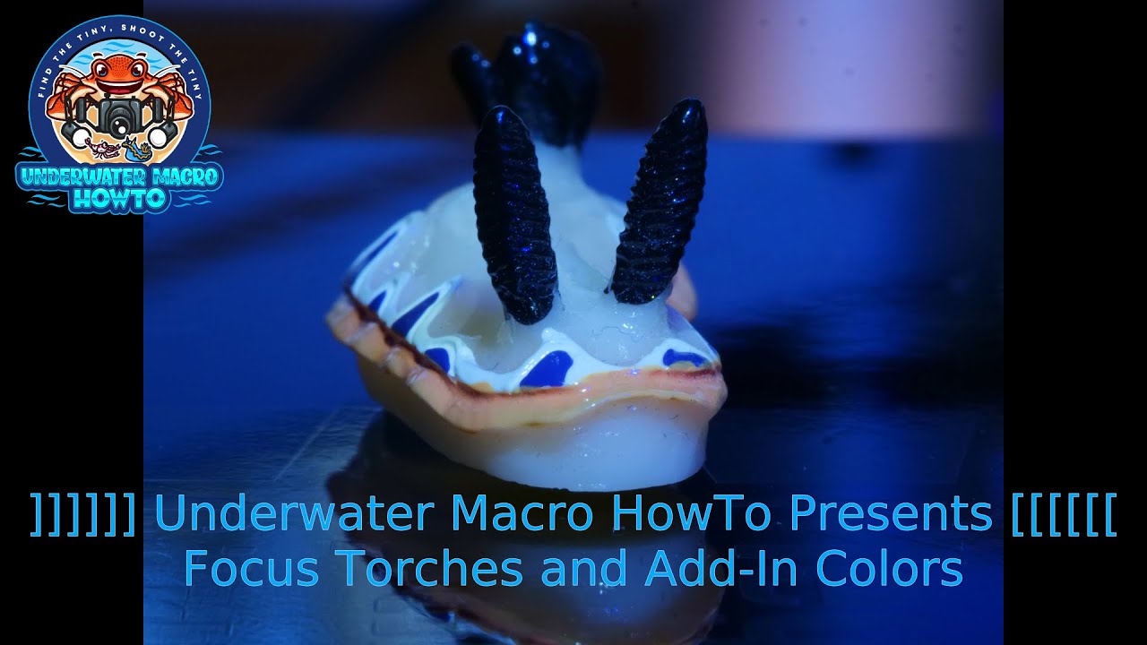 Tutorial: Underwater Macro Focus Torches and Add-In Colors