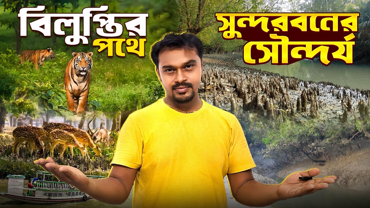 বিলুপ্তির পথে সুন্দরবনের সৌন্দর্য | Sundarban Tour | Sundarban Tour Package | Sundarban Tiger