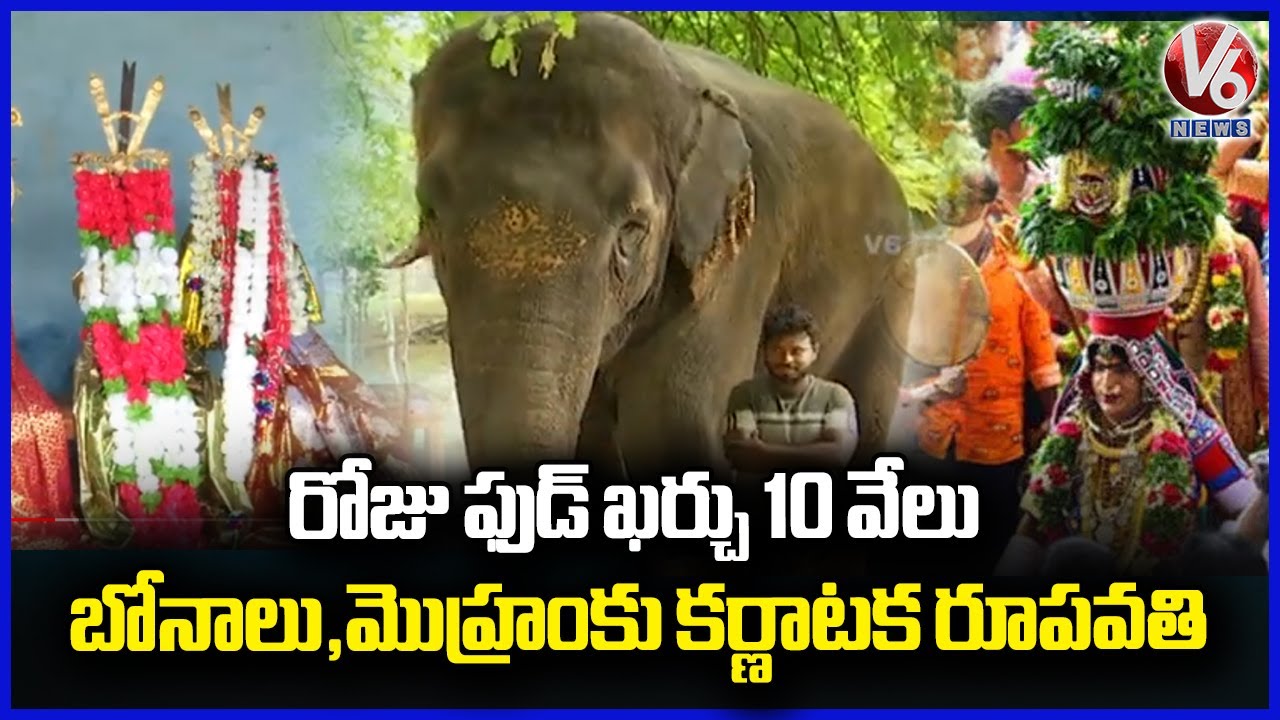Elephant Rupavati To Grace Muharram and Bonalu Processions | Hyderabad | V6 News