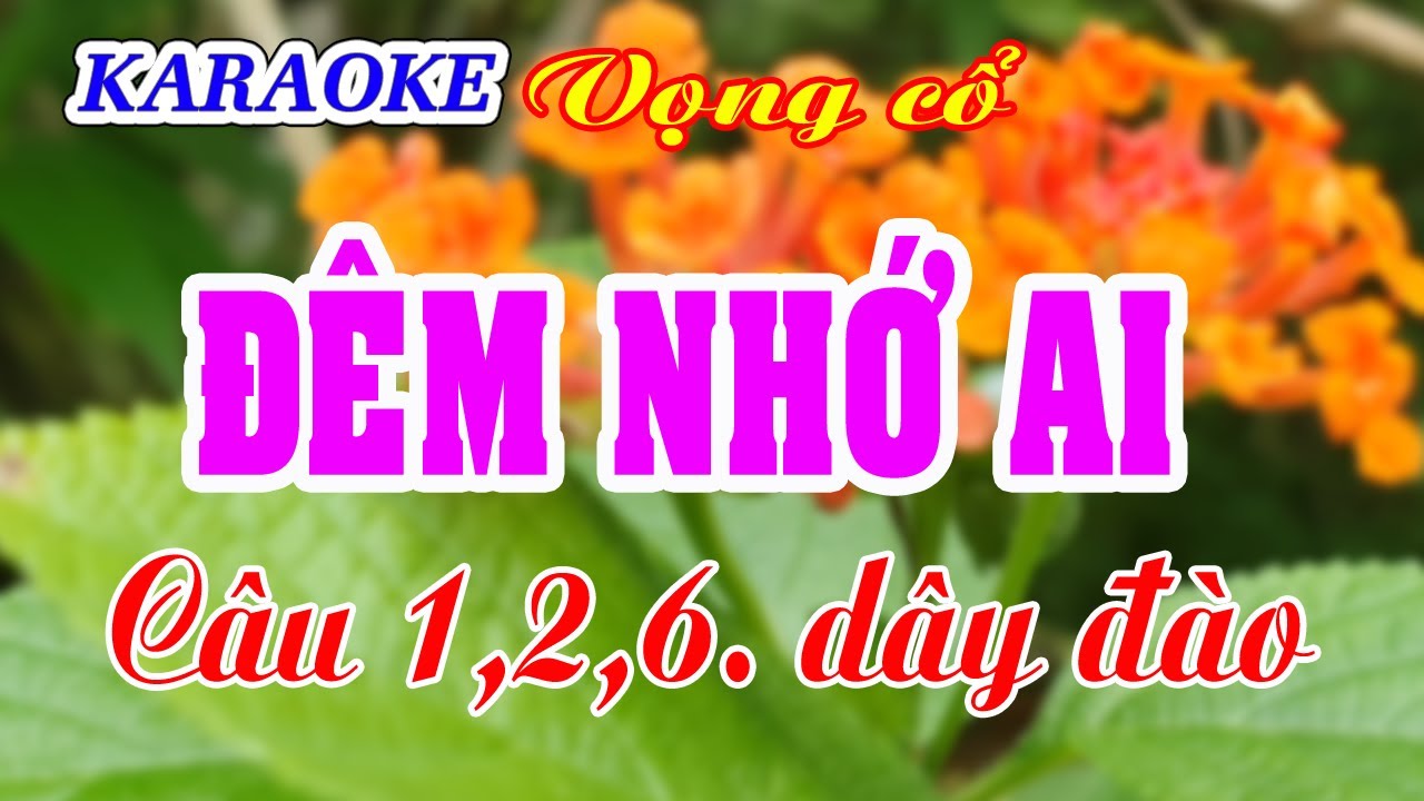 KARAOKE   ĐÊM NHỚ AI _ VC 1,2,6. Dây đào