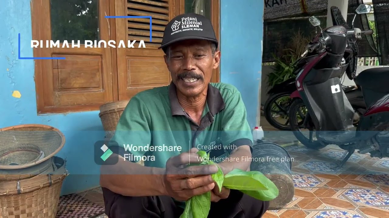SEMUA HARUS BISA : INI CARA BIKIN BIOSAKA DARI RUMPUT HINGGA PROSES MEMIJATNYA SAMPAI JADI