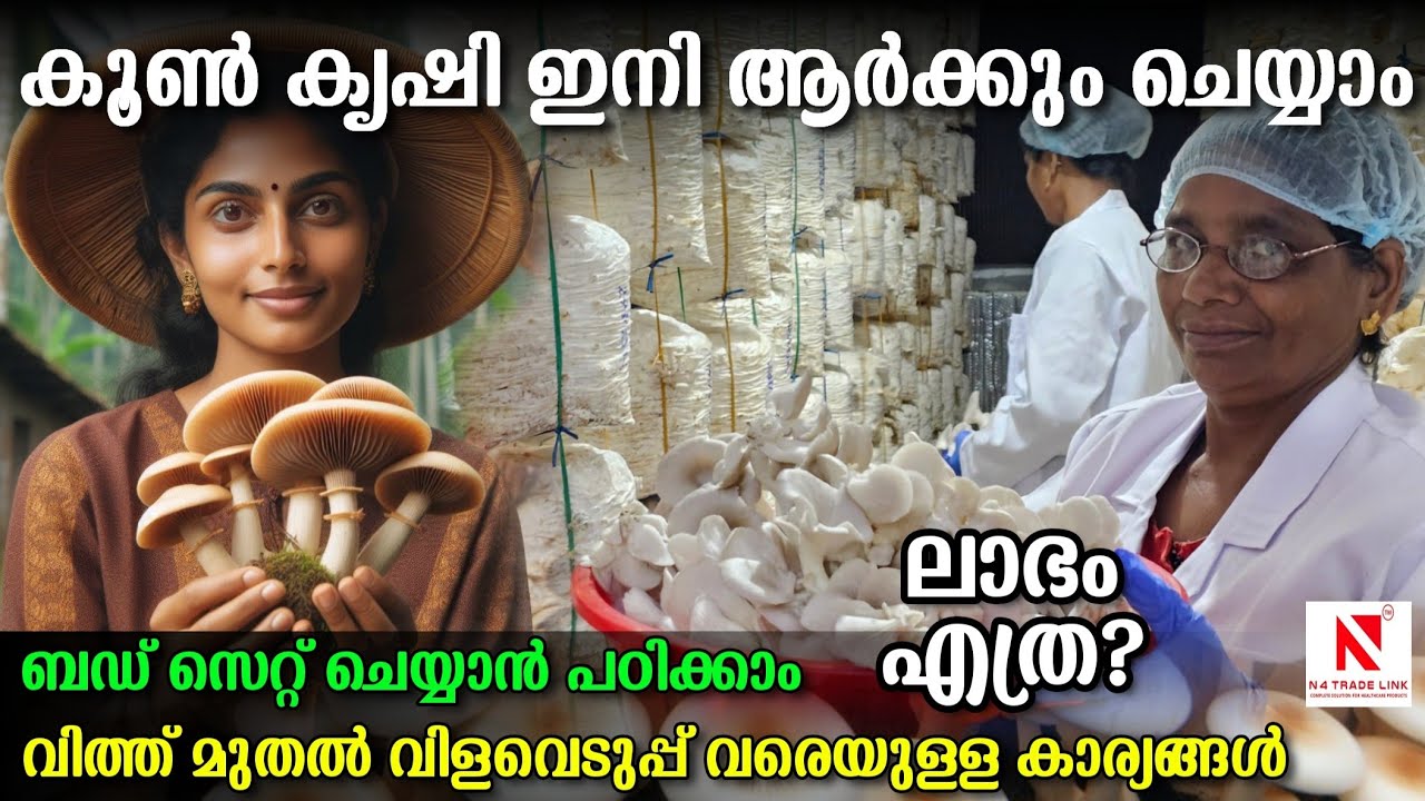 Mushroom Farming Method from seed to yield ഘട്ടങ്ങൾ നിങ്ങൾക്ക് പഠിക്കാം എളുപ്പത്തിൽ #mushroomfarming