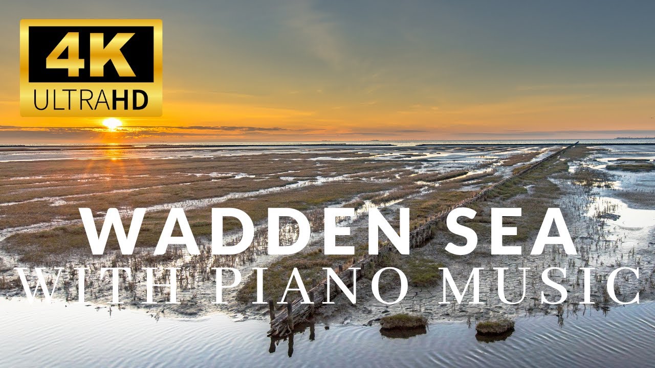 WADDEN SEA 4K-Вид на НАЦИОНАЛЬНЫЙ ПАРК WADDEN SEA-ЛАНДШАФТНАЯ ФОТ...