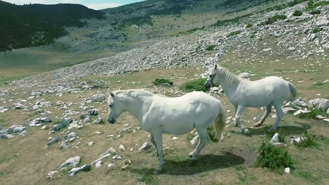 Maja e Rusolise, bjeshket e Pejes
