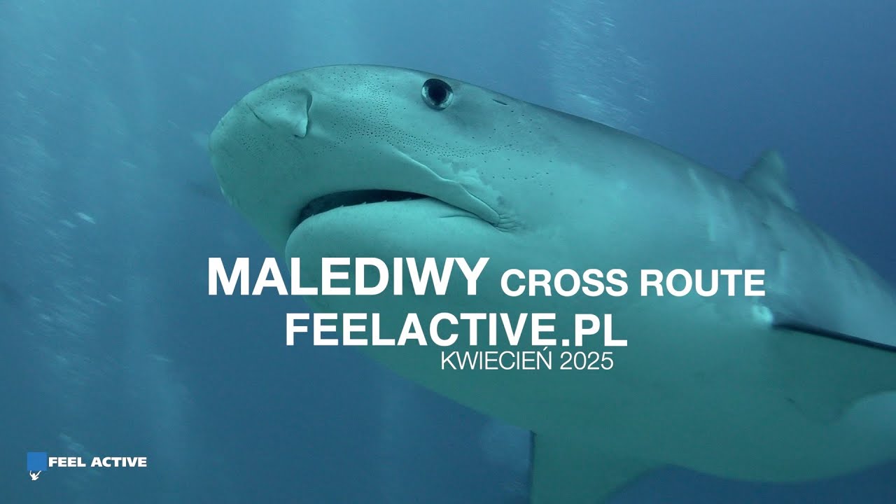 Malediwy cross 25