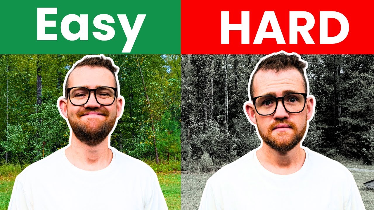 ЛУЧШИЙ СКОТОВЫЙ ДОМАШНИЙ ДЛЯ НАЧИНАЮЩИХ