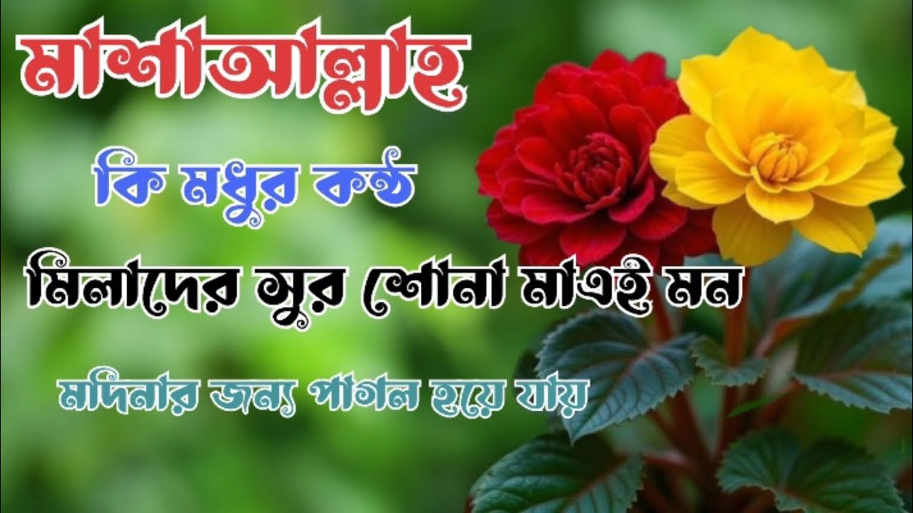 মাশাআল্লাহ কি মধুর কন্ঠ।। মিলাদের সুর শোনা  মাত্রই মন মদিনার জন্য পাগল হয়ে যায়।। Islamic Darood Tv