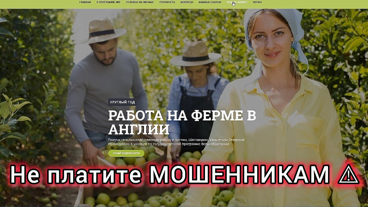 Анкета Agri-hr, Агропрактика, Fruitful Jobs| Не платите мошенникам. Мой опыт. 