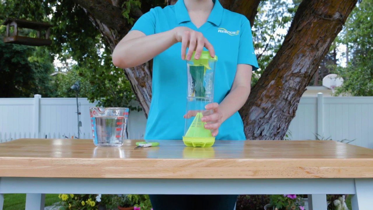 How to set up the WHY Trap for Wasps, Hornets & Yellowjackets