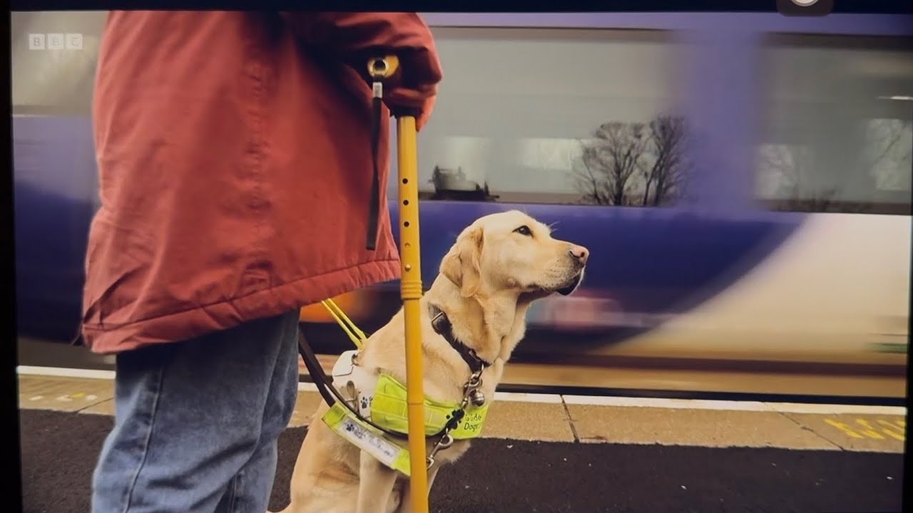 Chloe Tear (and others) BBC Look North 09/02/26: RNIB study on accessible train travel