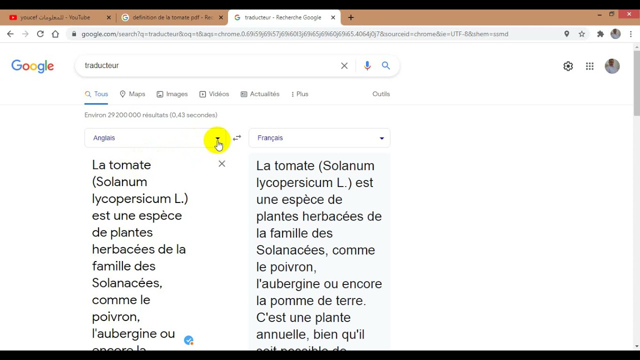 ترجمة نص من لغة إلى أي لغة تريد