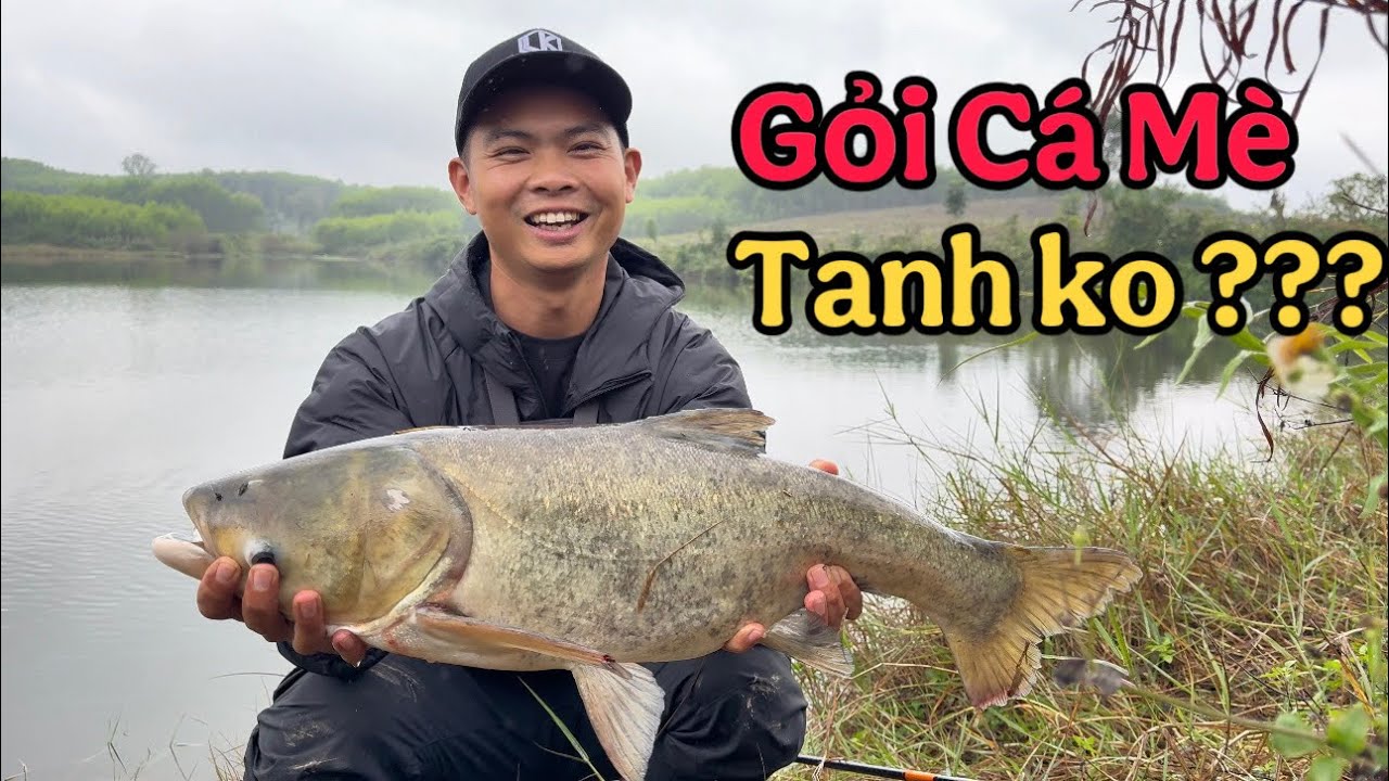 Lần Đầu Tiên Trong Đời Thử Ăn Gỏi Cá Mè. Có Tanh Như Lời Đồn ?