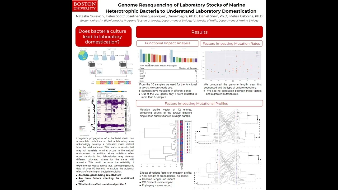 Genome Resequencing of Laboratory Stocks of... - Natasha Gurevich - MICROBIOME - Poster - ISMB 2022