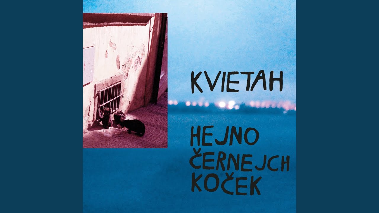 Hejno černejch koček