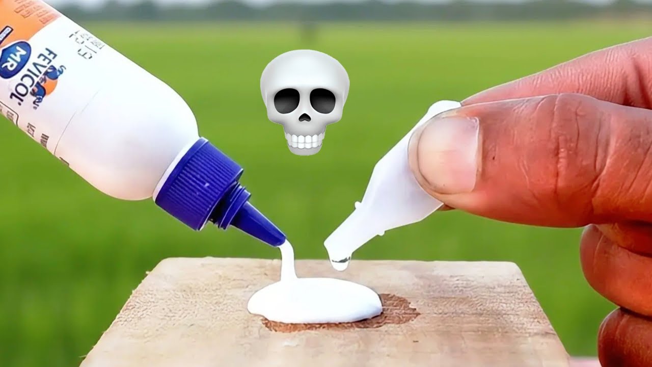 Fevikwik और Fevicol को मिलाने पर क्या होता है? | Shoking Glue Experiment | Science Explained 