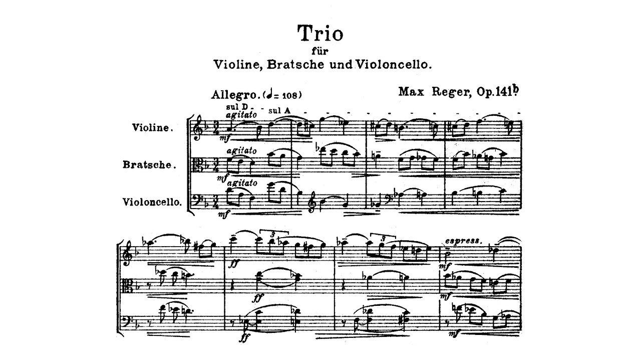 Max Reger - String Trio No. 2 in D Minor, Op. 141b