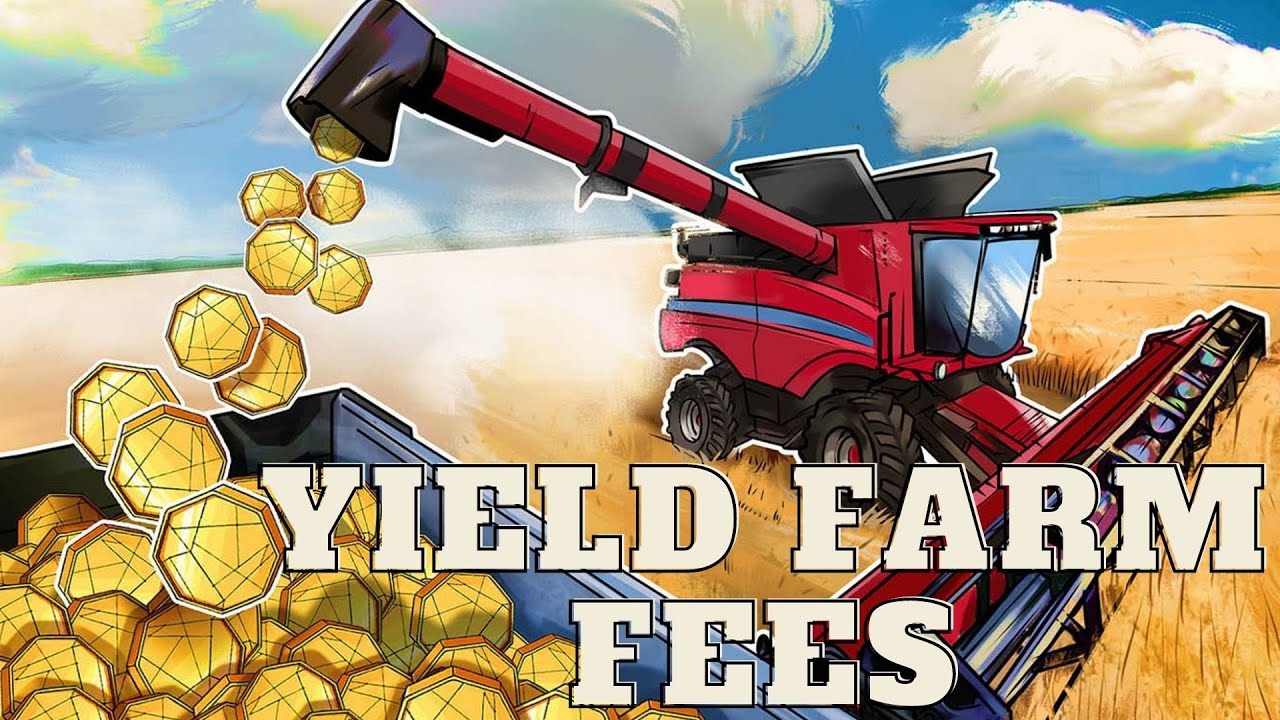 How to Check for Maximum Withdrawal and Deposit Fees of a Yield Farm | Polygon Network