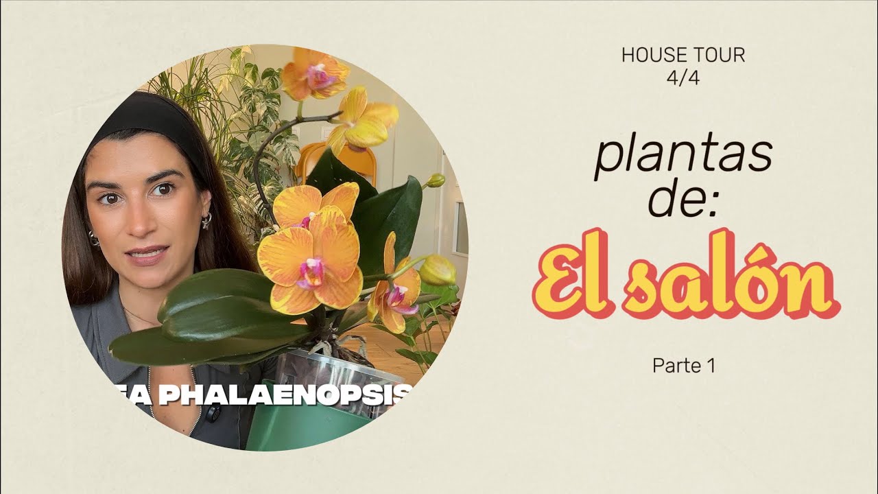 💚 PLANTAS PARA EL SALÓN 💚 4/4 HOUSE TOUR!
