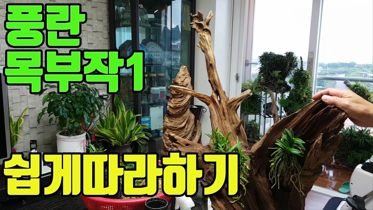 아름다운풍란4- 목부작 소재와 붙이는 방법소개(1)