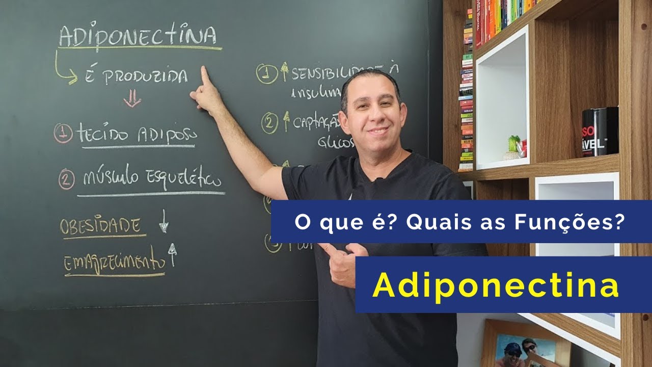 O Que é? Quais as Funções? Adiponectina