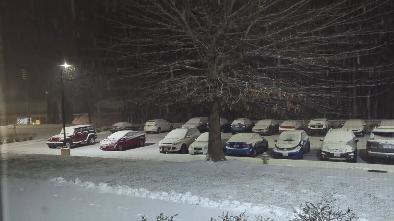 Virginia Snow Storm Time-lapse 2025