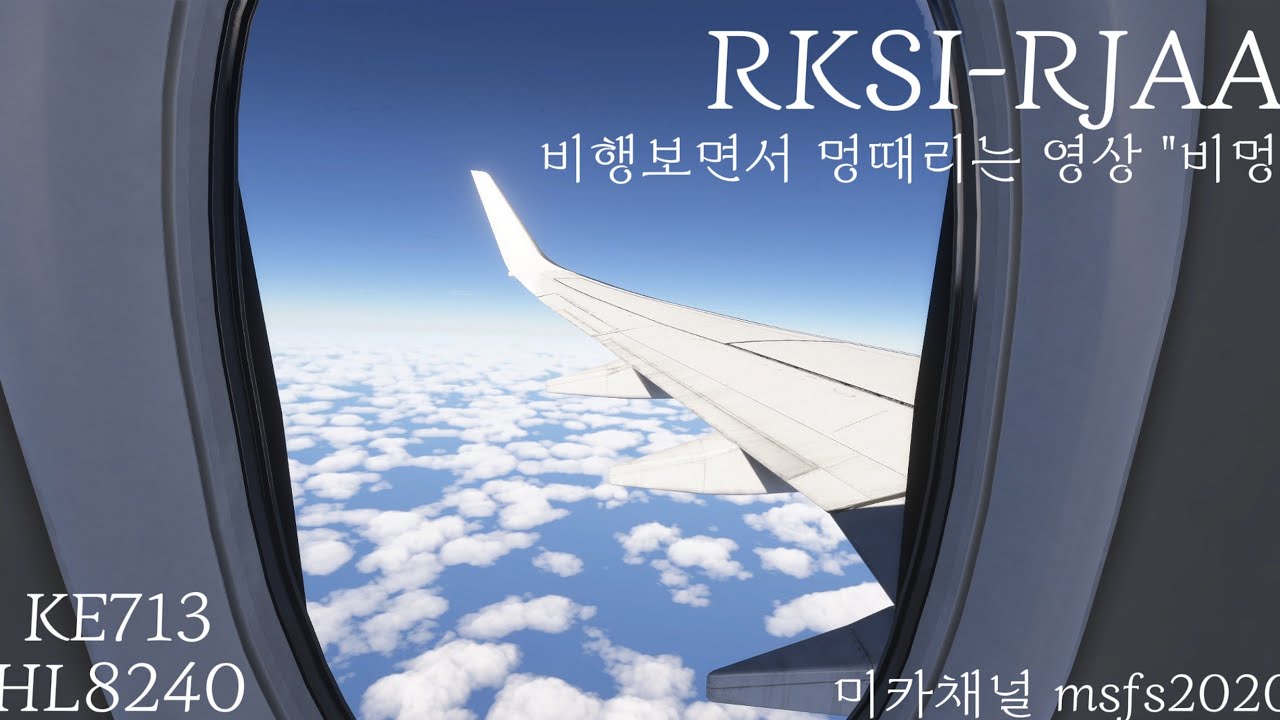 (비행 멍때리기 영상) RKSI-RJAA 인천-나리타 대한항공 B737-800 HL8240 승객시점
