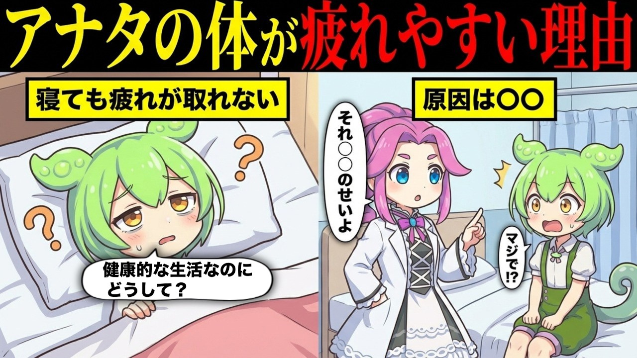 アナタの体が疲れやすい理由とは【ずんだもん&ゆっくり解説】