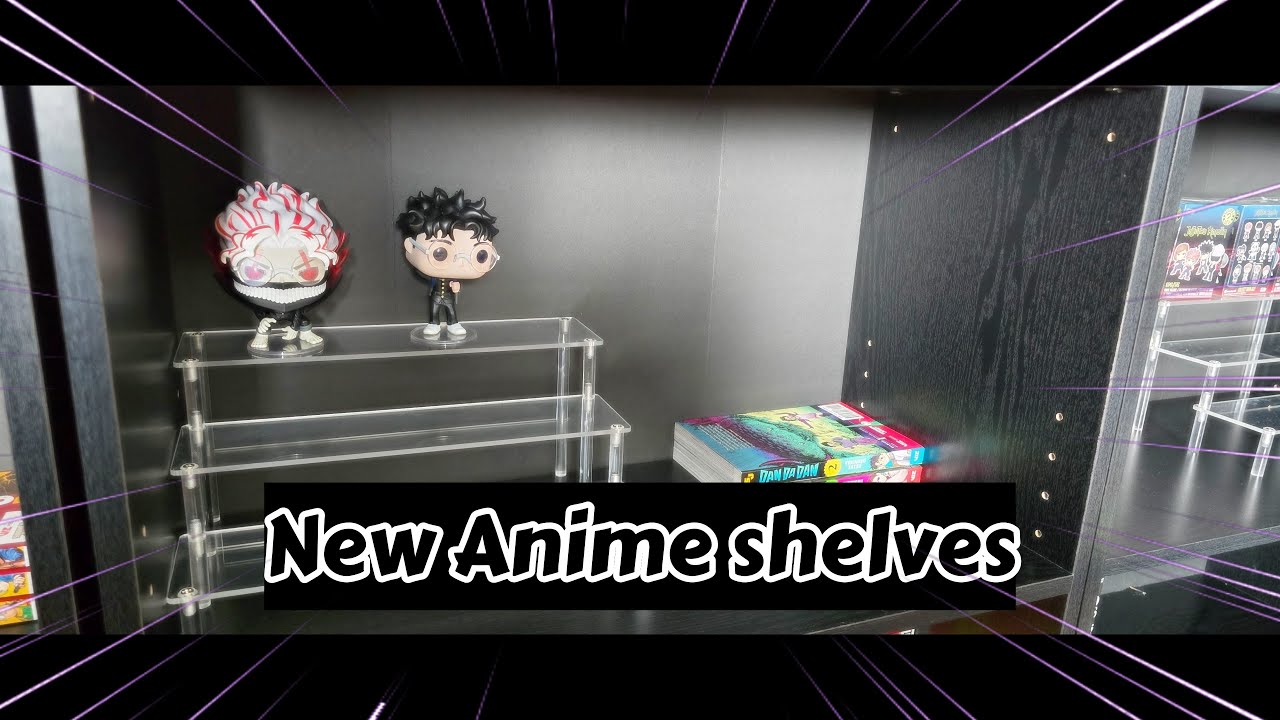 Last Anime figure organizing video of 2025! Anime figure shelve updates!