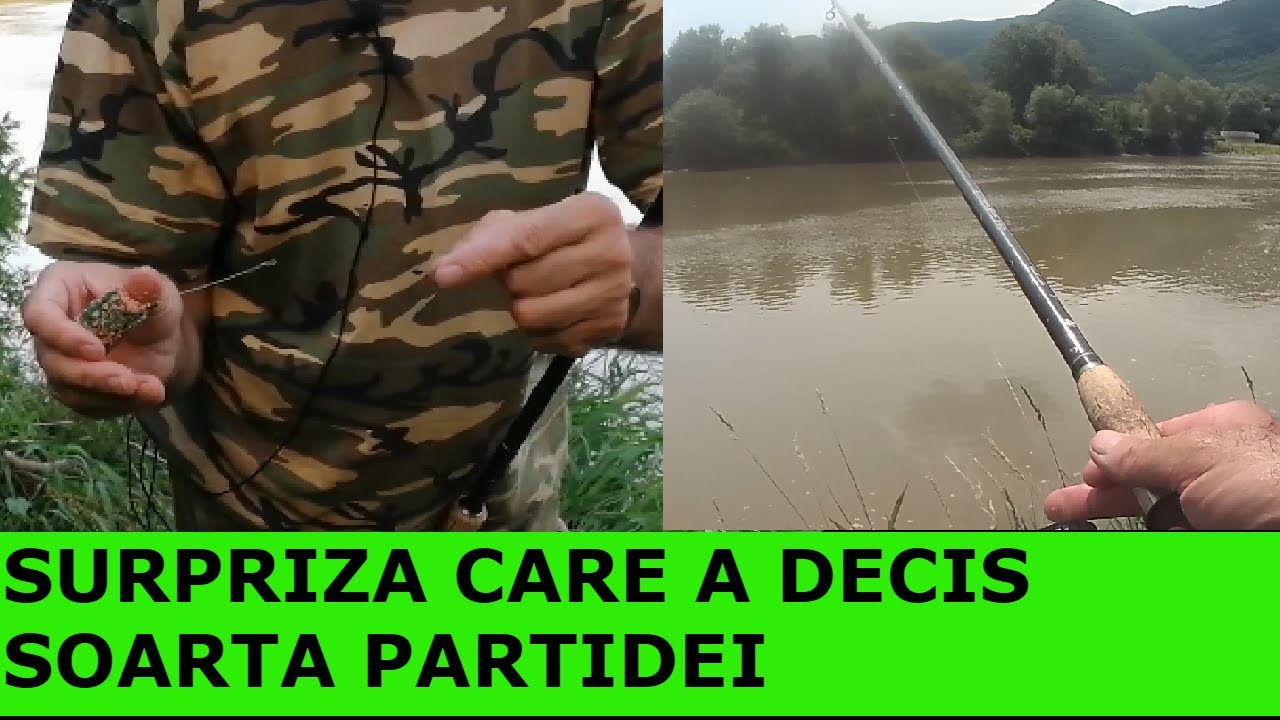 PESCUIT LA FEEDER PE MURES#MONTURA FEEDER PENTRU APA CURGATOARE