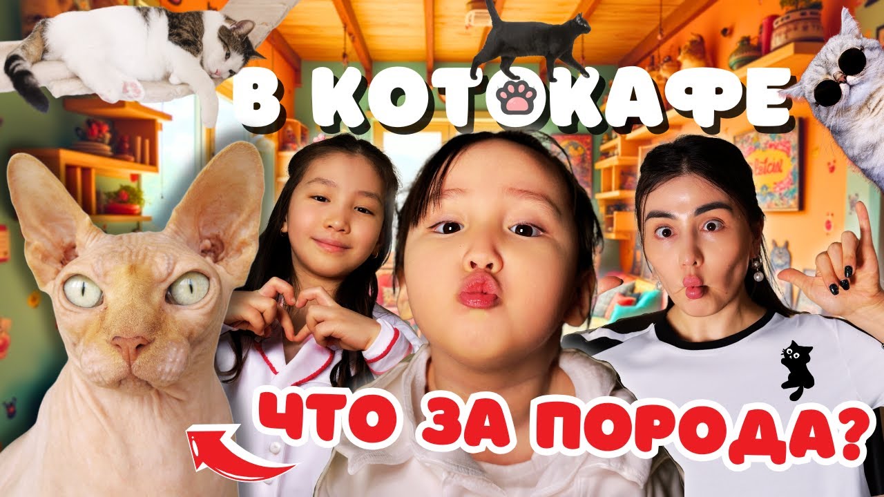 КотоКафе: Латифа и Лямис в Мире Необычных Котов в Кафе Для Кошек🐱☕