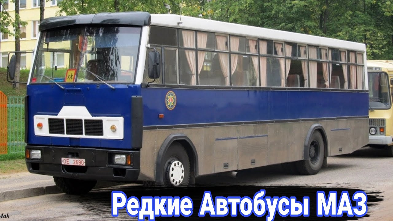 Необычные и малоизвестные модели автобусов МАЗ.