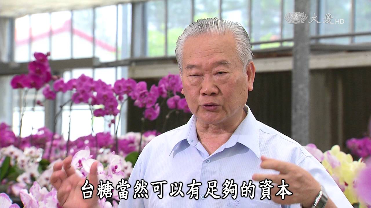 【紀錄新發現】20160807 - 打造一株幸福蘭 - 臺灣的栽培種蘭花