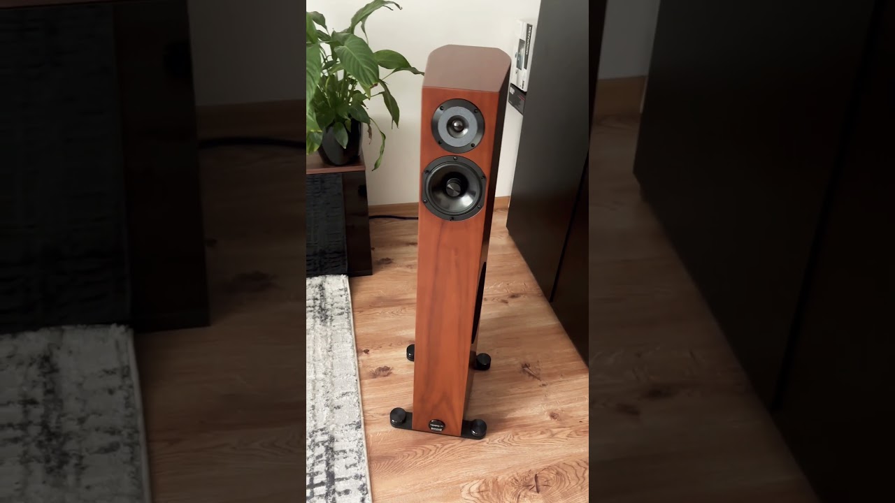#music #acoustic #guitar #audiophysic #fezz #titania #hiendaudio #eversolo