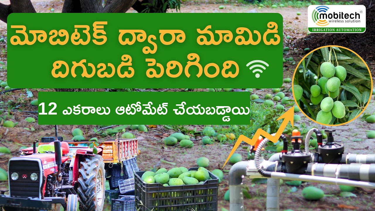 12-Acre Mango Farm with Smart Irrigation System | Farmer Success Story - Mr. Sudarshan Reddy
