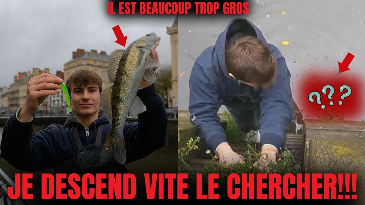 On pêche les SANDRES en STREET FISHING, ils sont complètement FOUS !!