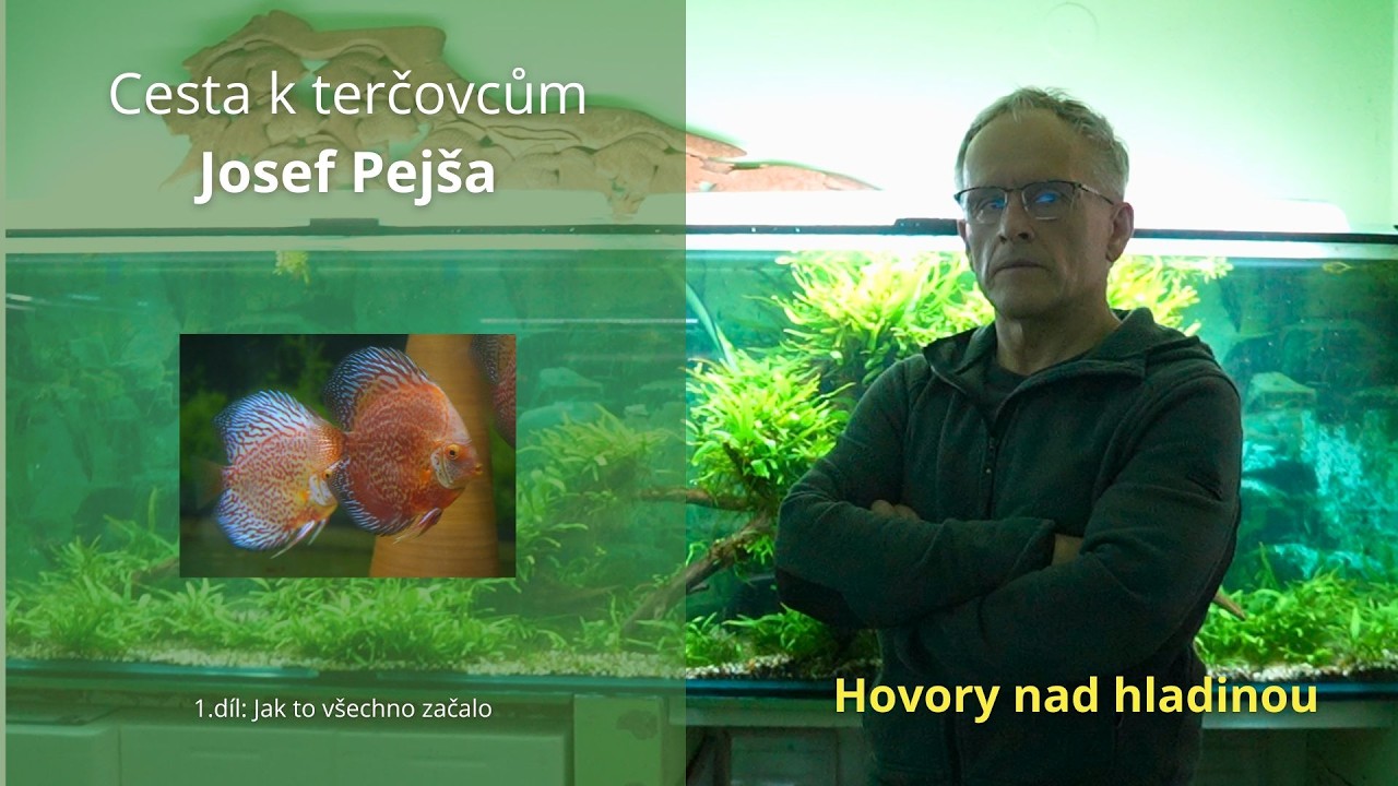 Hovory nad hladinou: Josef Pejša - Od klukovských akvárií k šlechtění světových terčovců