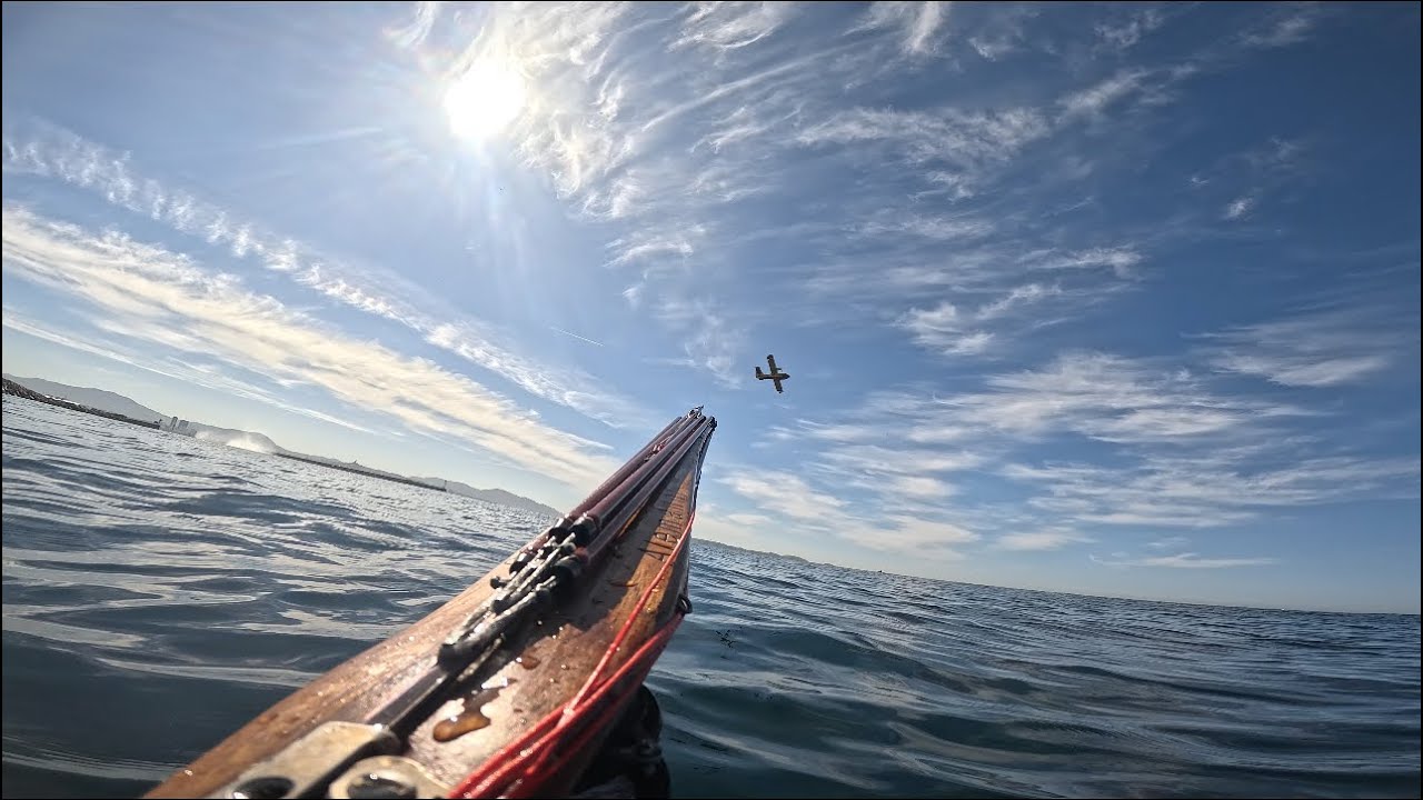 chasse sous marine mars 2026 à Marseille