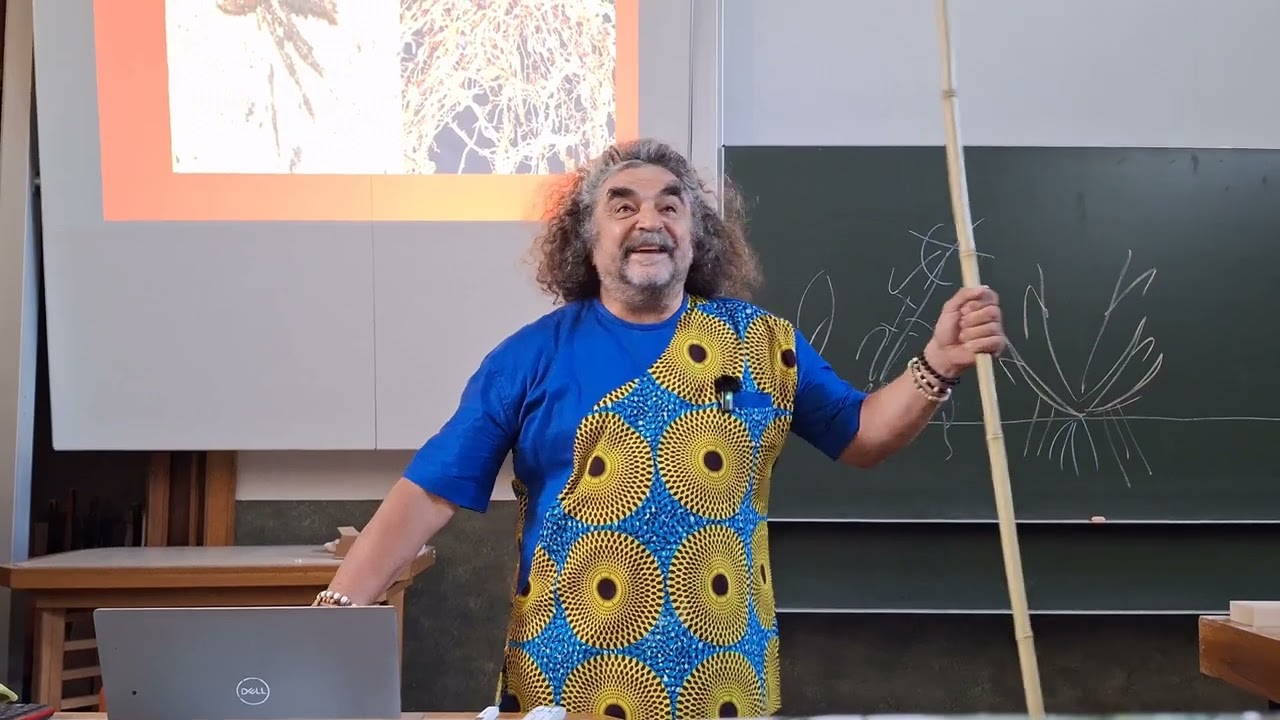 Botanikus az előadóban - 338. A hajtás (vegetatív részek)
