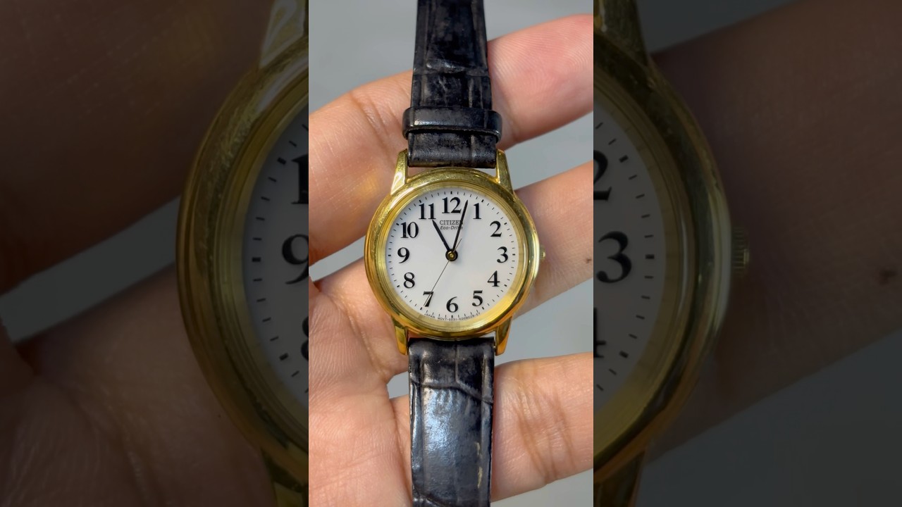 Citizen Eco Drive #rarewatches #vintagewatches #soughtafterseconds #watchcollection #uniquewatch