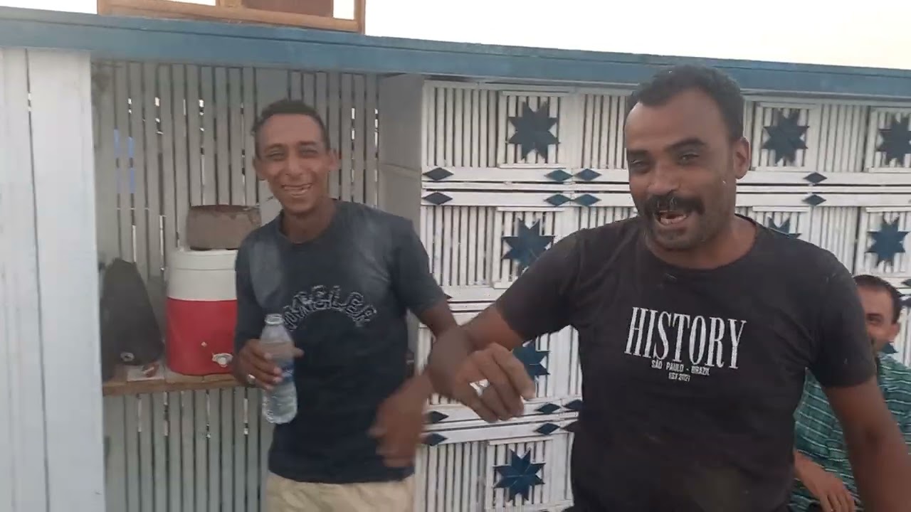 النمر الاسود فى هضبه المنصوريه