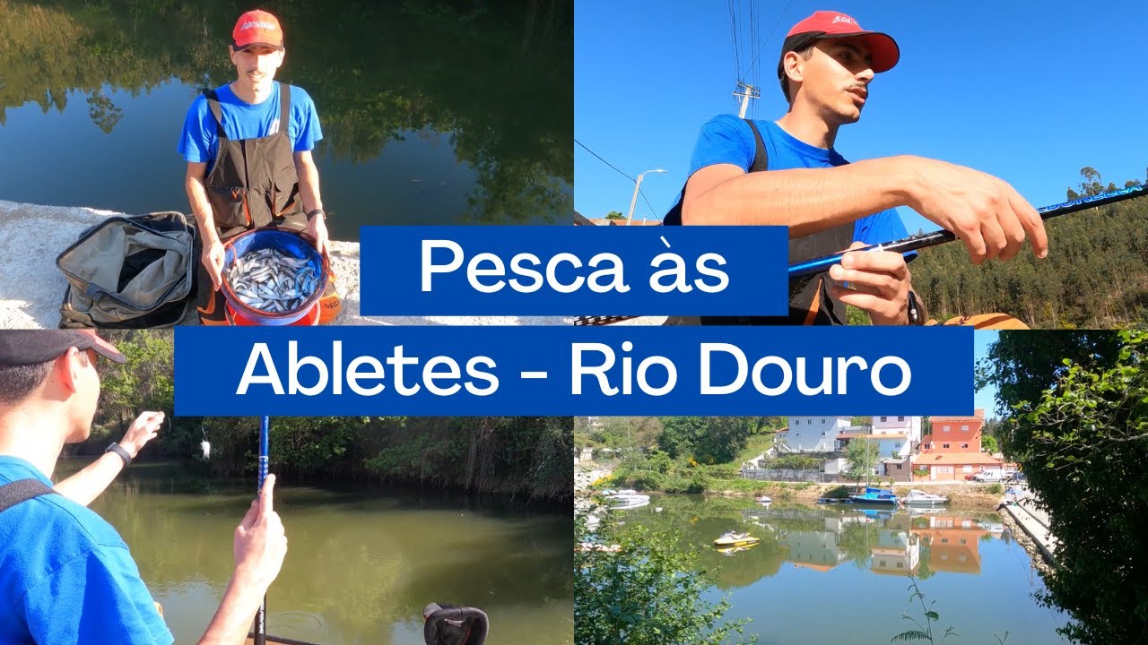Pesca Desportiva - Abletes no rio Douro