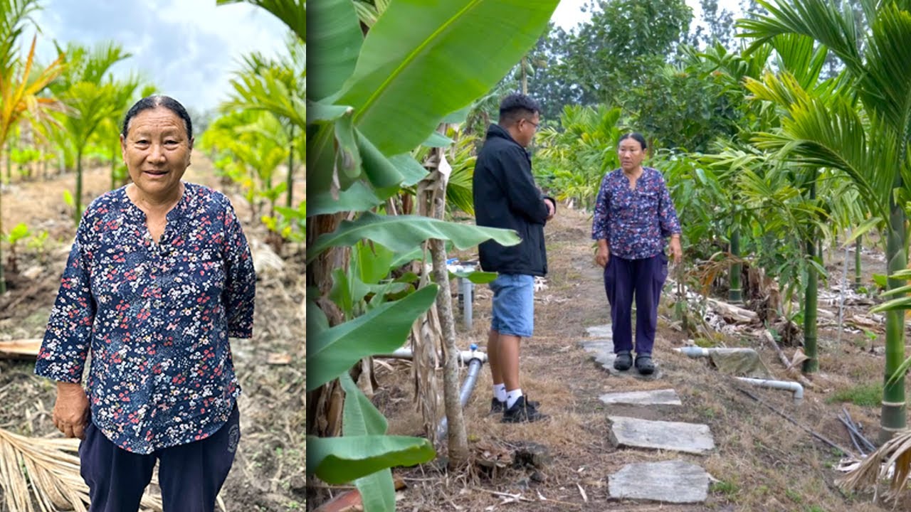 Women of Tibet: Mrs. Choezom and her Ever Green Farmhouse