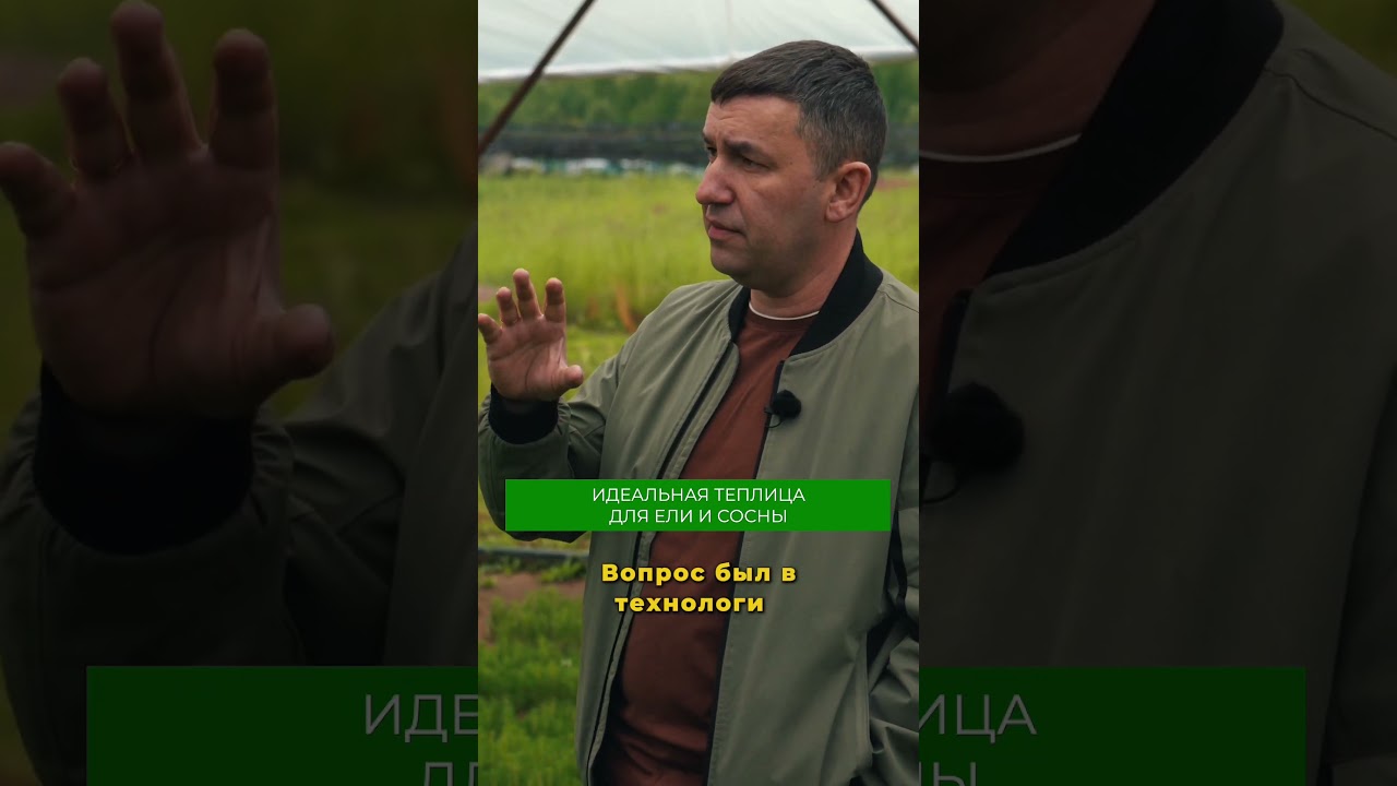 Как построить теплицу для саженцев? #бизнес #теплица #огород #растения #сад #ферма #сосна #ель