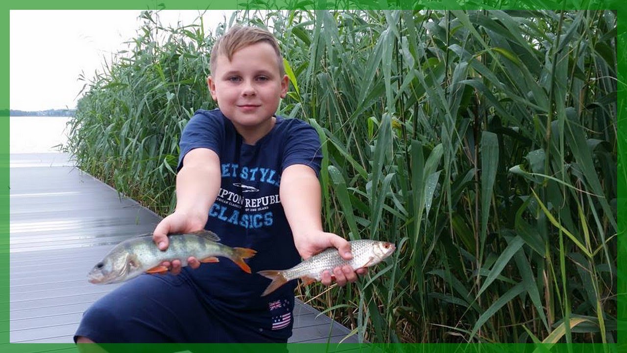 Wędkarstwo - feederowe ABC. Warmia, jezioro Wulpińskie.
