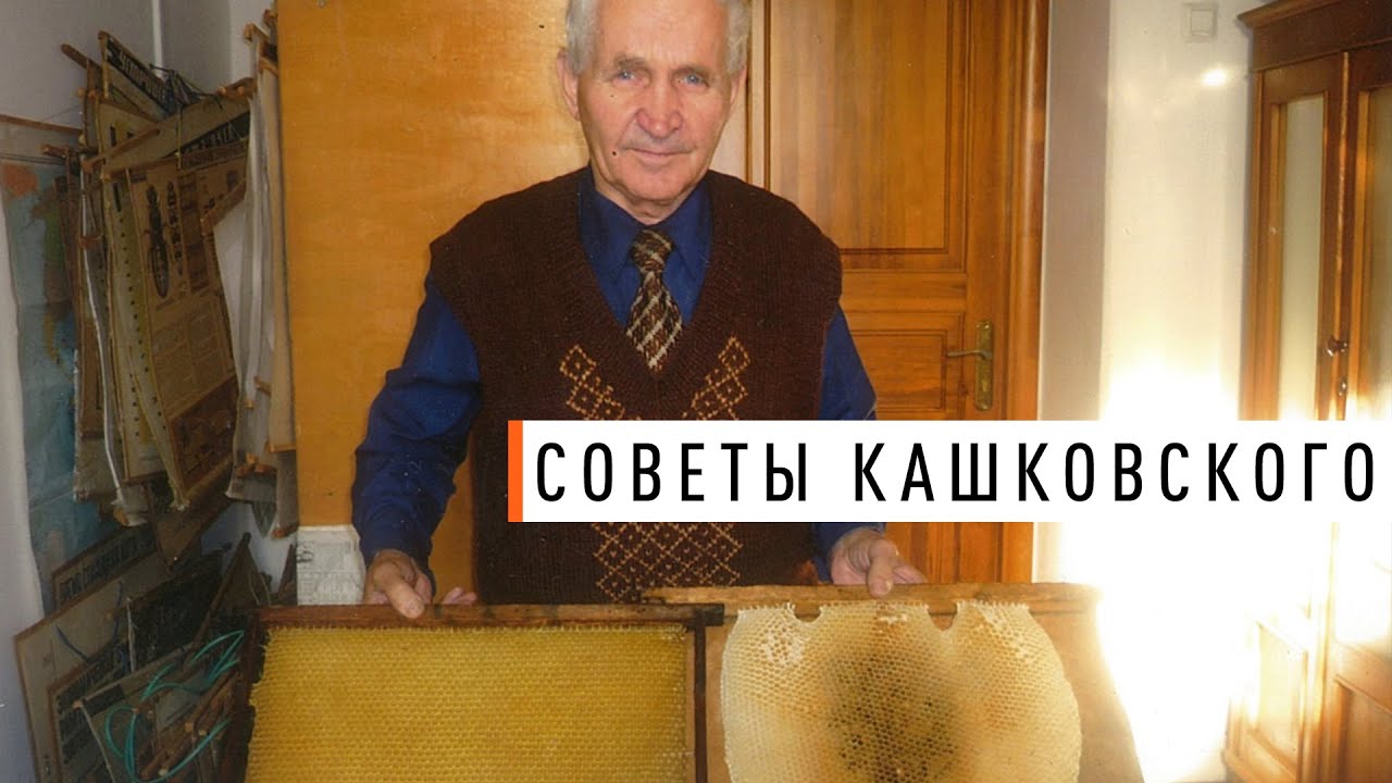 Советы Кашковского