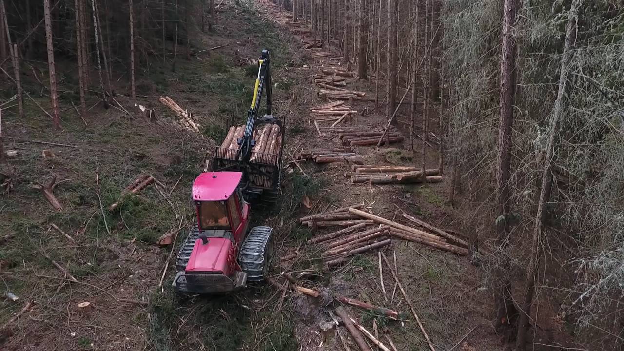 Timber Men of Speyside Scotland by drone