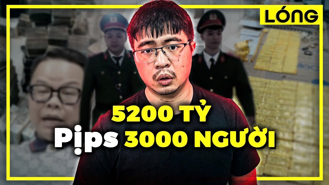 Vì sao Mr. Pips lừa được nhiều tiền thế?