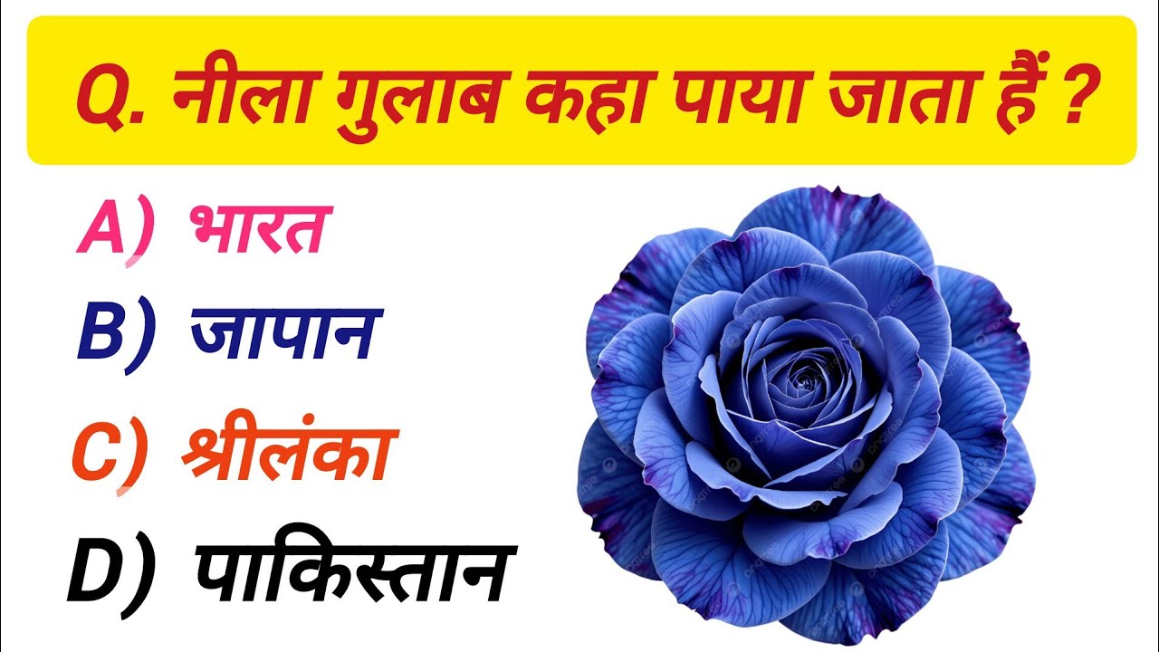 GK Question || GK In Hindi || GK Question And Answer || GK Quiz || Rajwade Classes