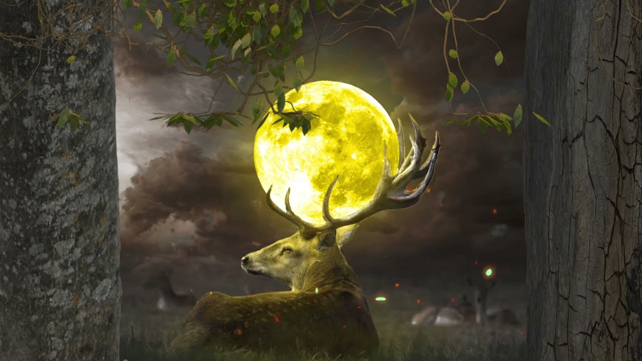 PEACEFUL NIGHT WIND with CRICKETS and CICADAS  ((10 HOURS)) sleep or study video