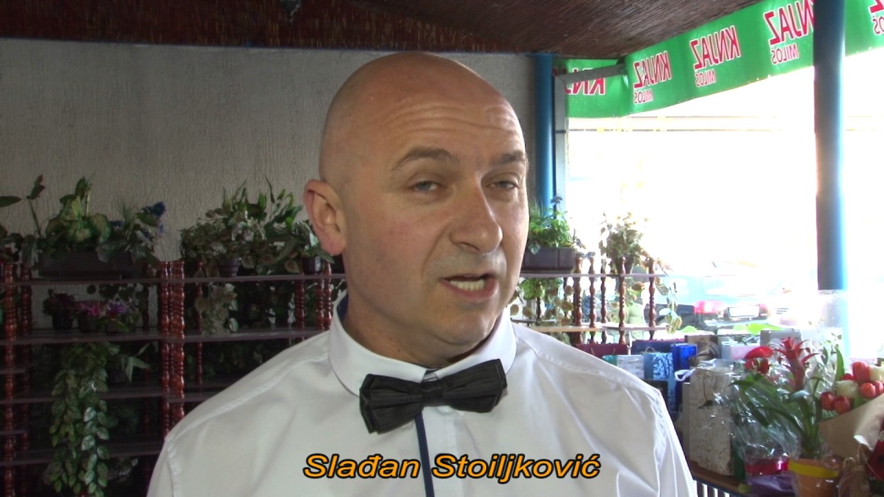 Vabis 2017 - 30 godina firme
